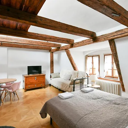 בית נופש Tiny House Old Town פראג